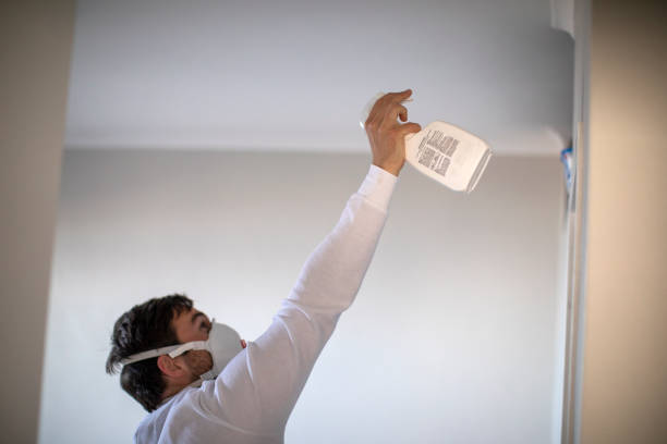 Trusted Andale, KS Mold Removal Experts